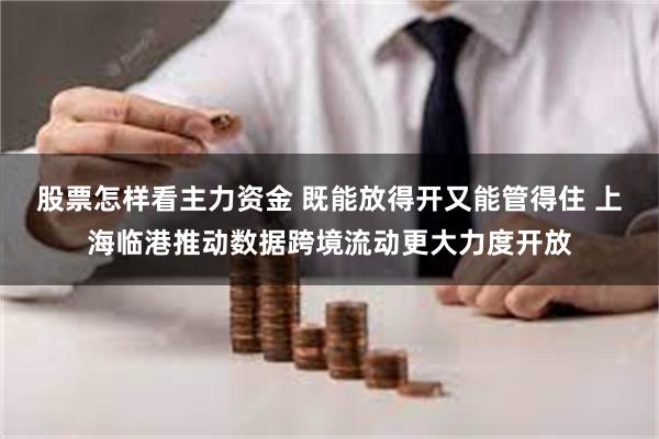 股票怎样看主力资金 既能放得开又能管得住 上海临港推动数据跨境流动更大力度开放