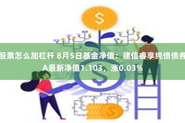 股票怎么加杠杆 8月5日基金净值：建信睿享纯债债券A最新净值1.103，涨0.03%