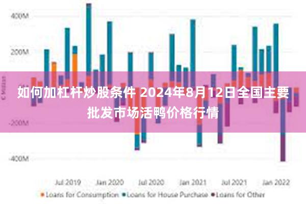 如何加杠杆炒股条件 2024年8月12日全国主要批发市场活鸭价格行情