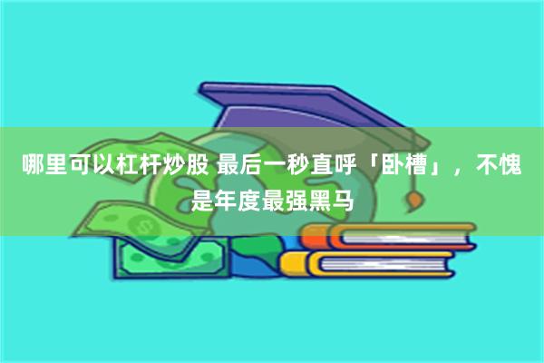 哪里可以杠杆炒股 最后一秒直呼「卧槽」，不愧是年度最强黑马