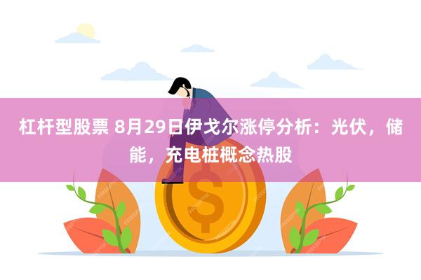 杠杆型股票 8月29日伊戈尔涨停分析：光伏，储能，充电桩概念热股