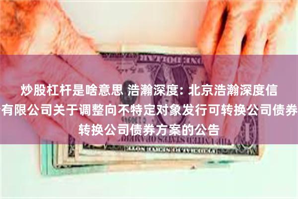 炒股杠杆是啥意思 浩瀚深度: 北京浩瀚深度信息技术股份有限公司关于调整向不特定对象发行可转换公司债券方案的公告