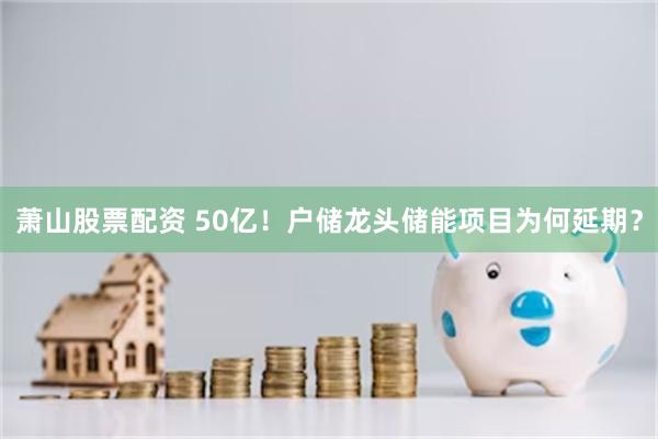 萧山股票配资 50亿！户储龙头储能项目为何延期？