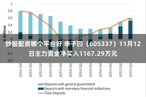 炒股配资哪个平台好 李子园（605337）11月12日主力资金净买入1167.29万元