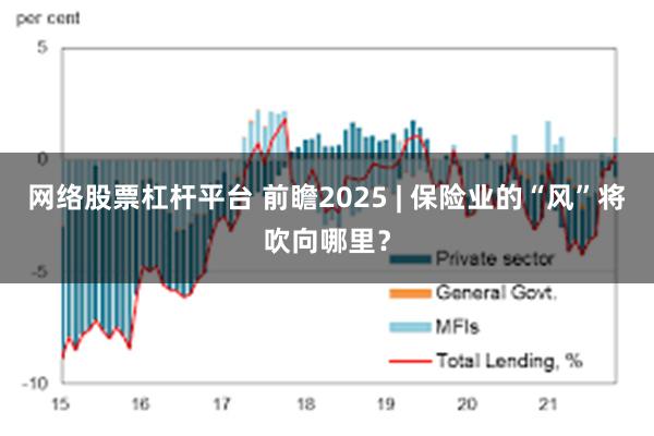 网络股票杠杆平台 前瞻2025 | 保险业的“风”将吹向哪里？