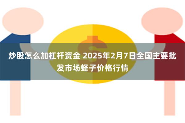 炒股怎么加杠杆资金 2025年2月7日全国主要批发市场蛏子价格行情